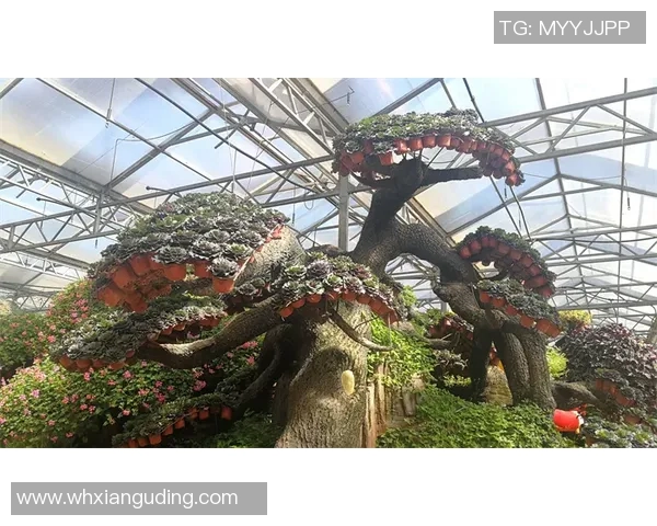 武里南对决全北现代展现亚洲足球魅力与激情的巅峰对抗