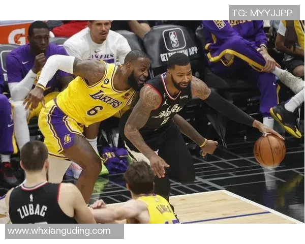 湖人对阵国王精彩直播录像回顾及赛后分析分享