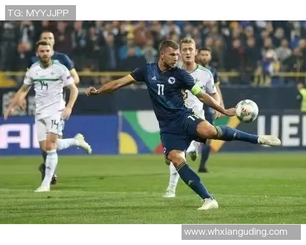 波黑对阵威尔士精彩直播全程回顾及赛后分析