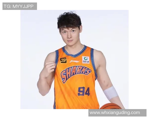 王哲林在CBA赛场的崛起与挑战：从新星到球队核心的成长之路