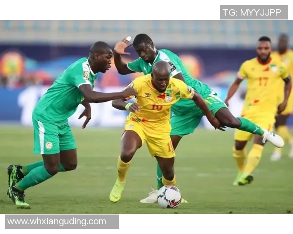 南非与坦桑尼亚足球对决展现非洲足球魅力与竞争力