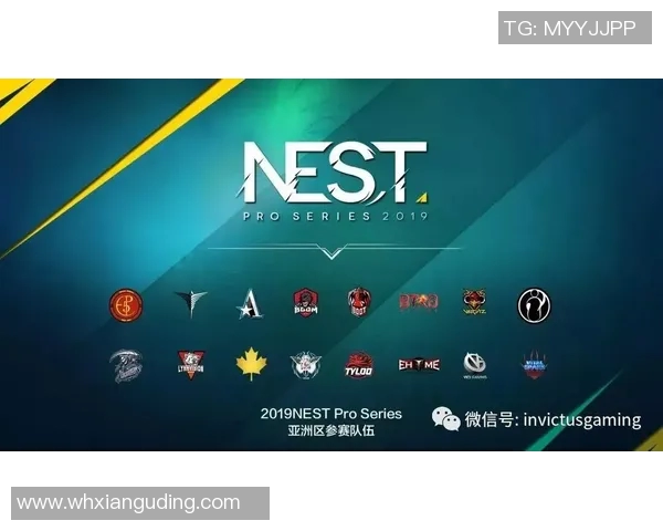 CSGO灵活性排名更新IG战队表现出色创新高纪录