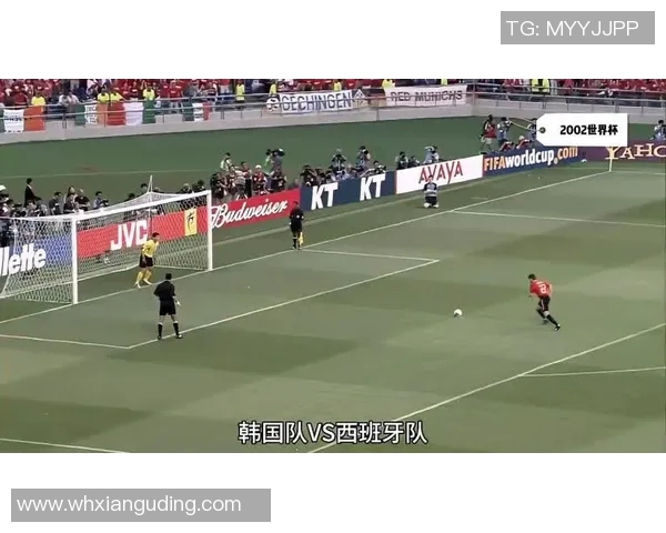 杭州排球队实力飙升创新高成就引发全国关注与期待